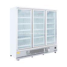 Refrigerador de bebidas para la puerta de vidrio vertical